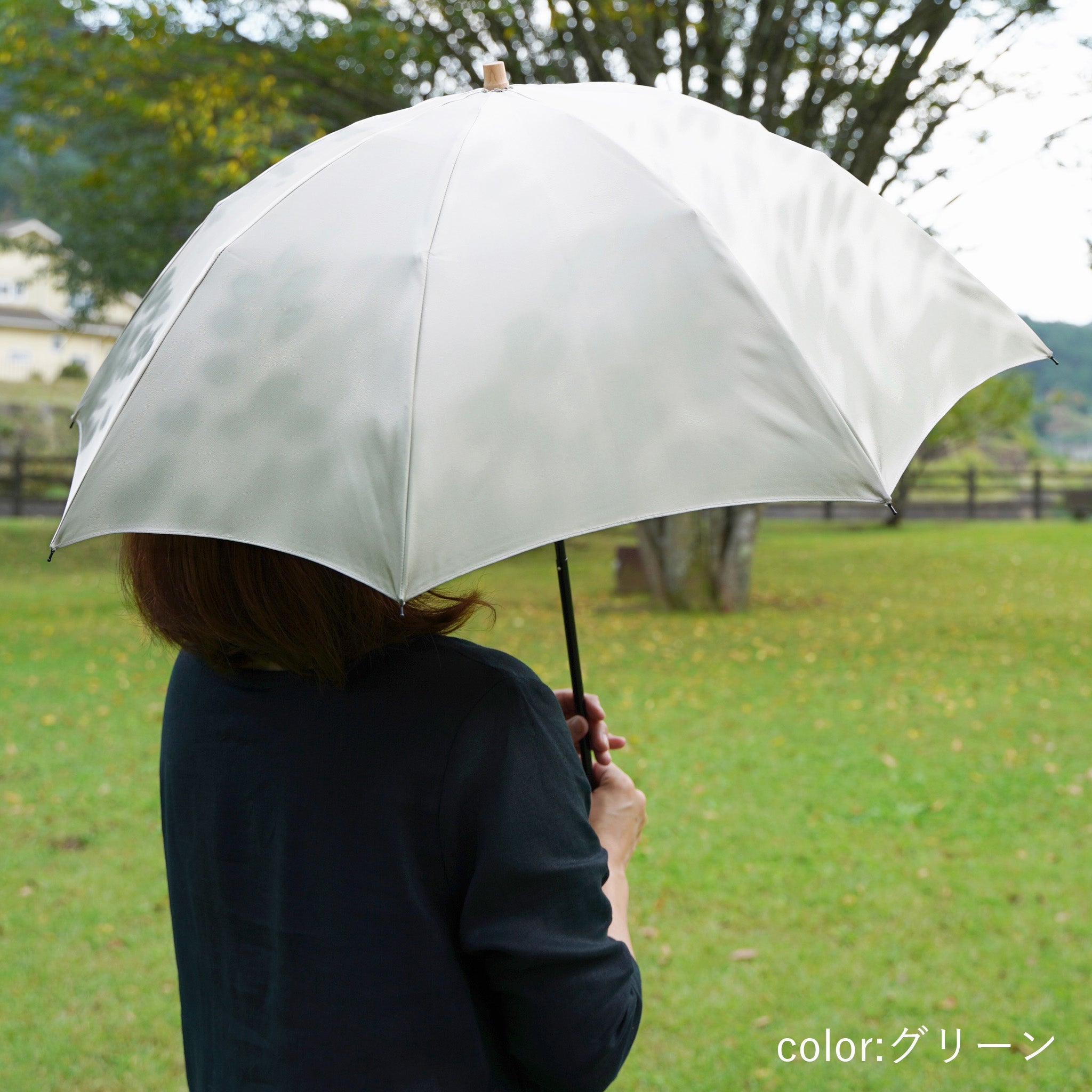 晴雨兼用折りたたみ傘 レディース こもれび ブナ グリーン