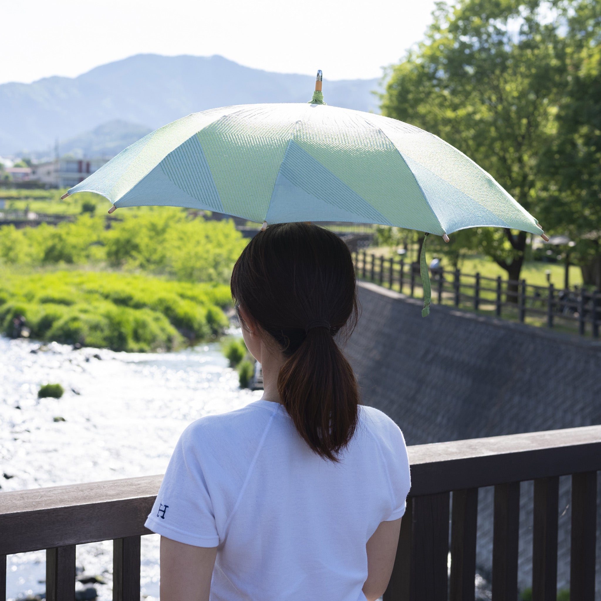 日傘 レディース 菜sai はくさい ショート傘 サイズイメージ