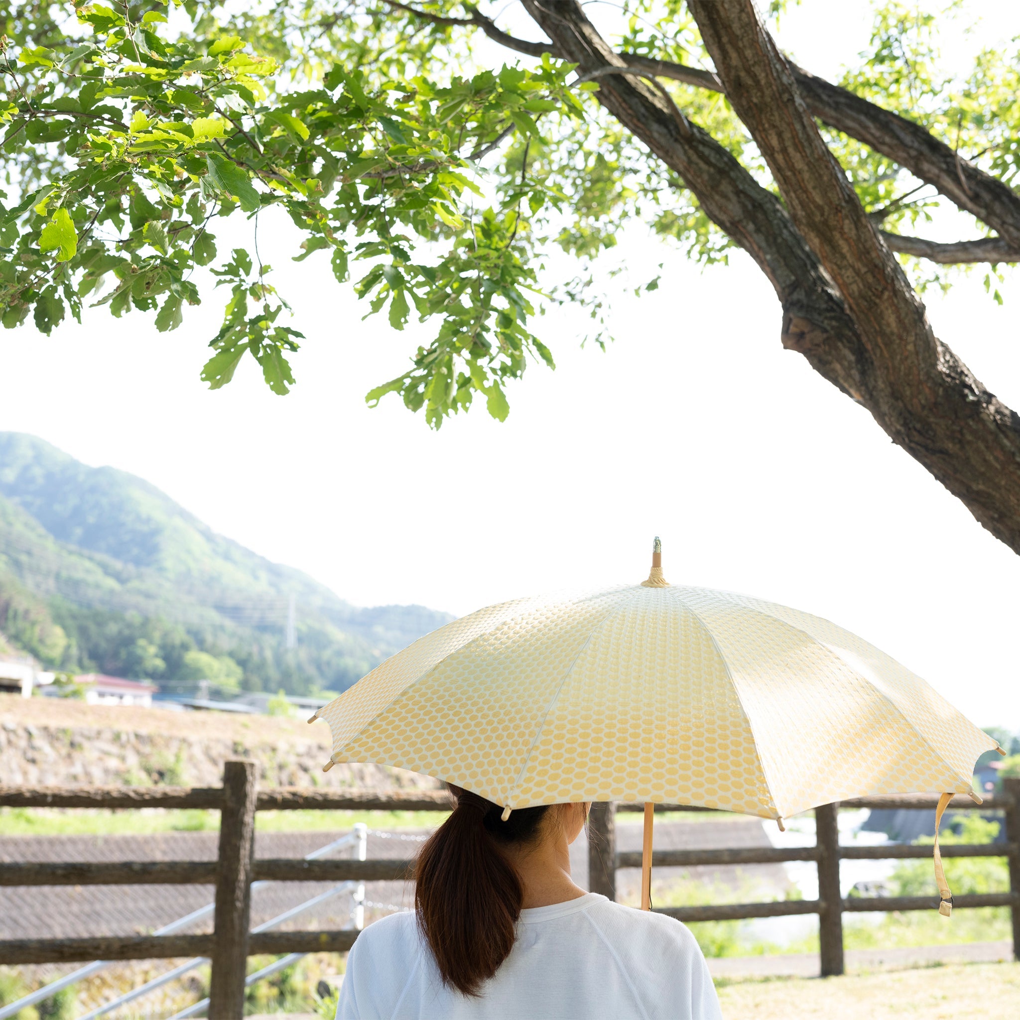日傘　レディース　菜sai　とうもろこし　ショート傘　イメージ