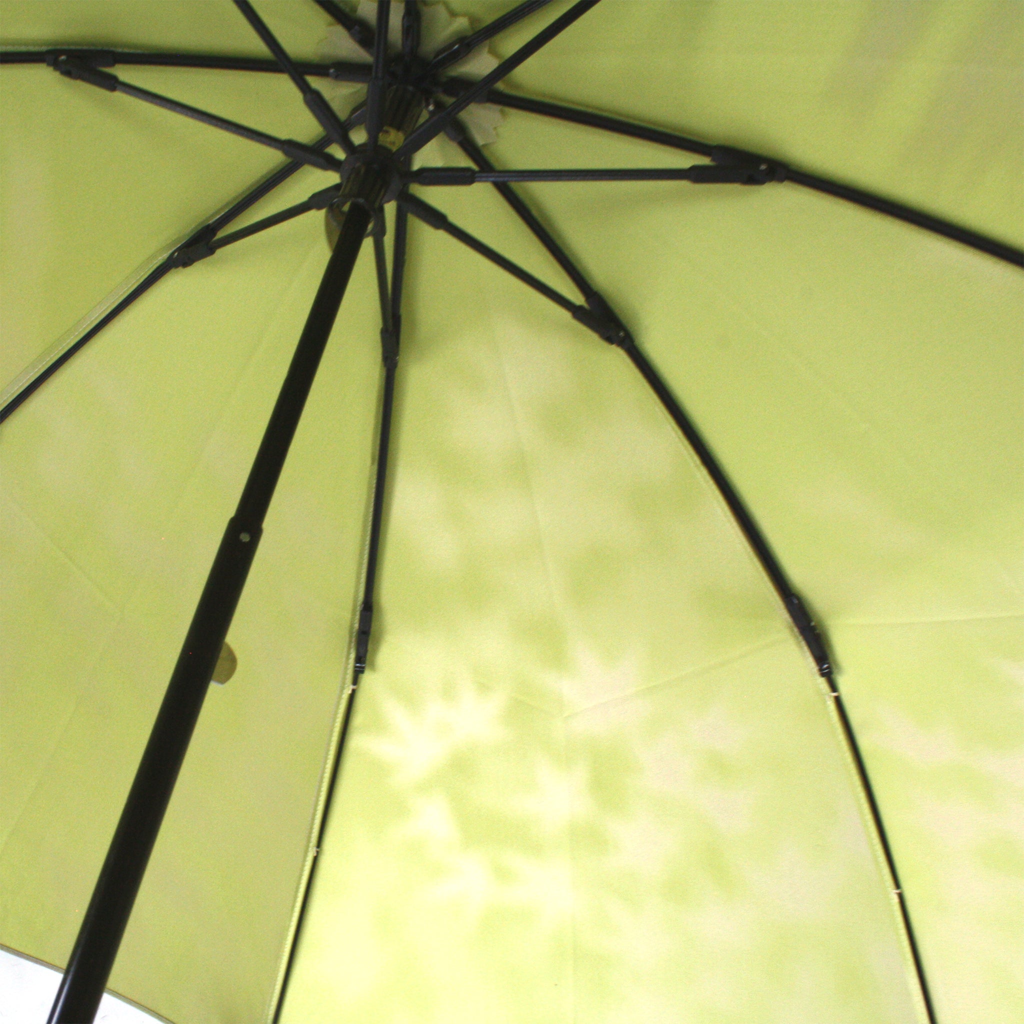 晴雨兼用　レディース　こもれび　カエデ　ライトグリーン　折りたたみ傘