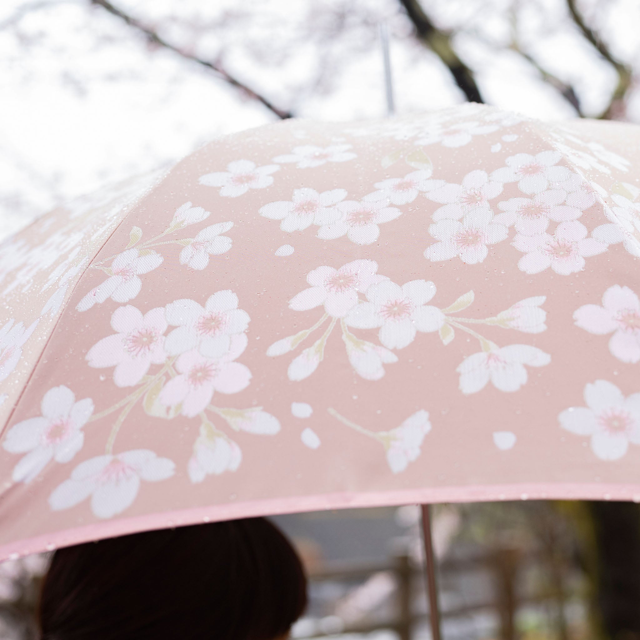 レディース晴雨兼用傘　絵おり　桜　柄アップ