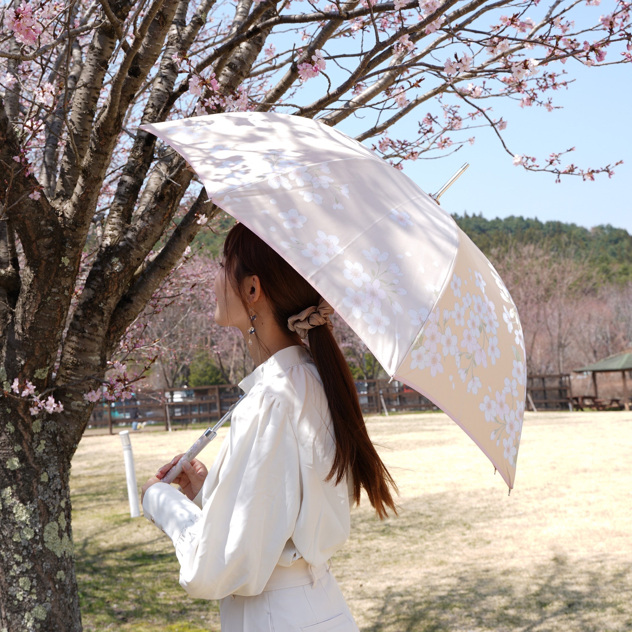 レディース晴雨兼用傘　絵おり　桜　使用イメージ