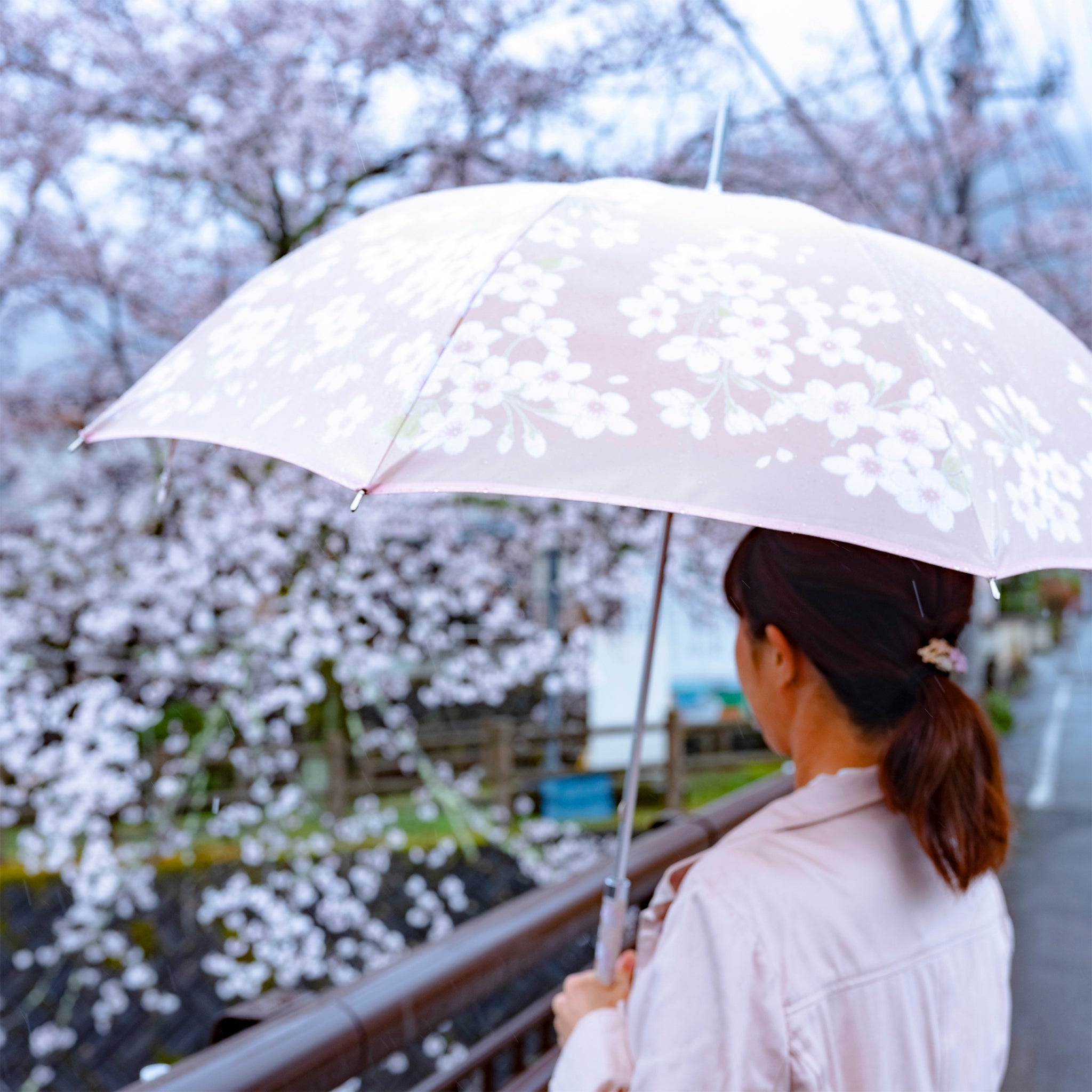 レディース晴雨兼用傘　絵おり　桜　使用イメージ